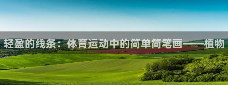 搜球体育新闻：轻盈的线条：体育运动中的简单简笔画——植物