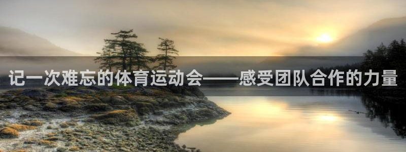 搜球体育下载：记一次难忘的体育运动会——感受团队合作的力量