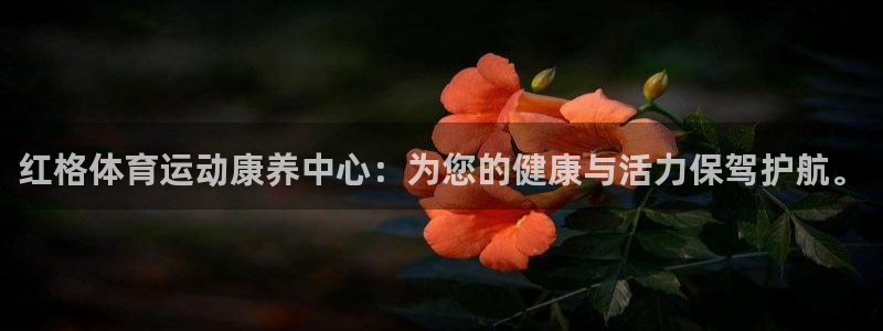 搜球体育现在叫什么
