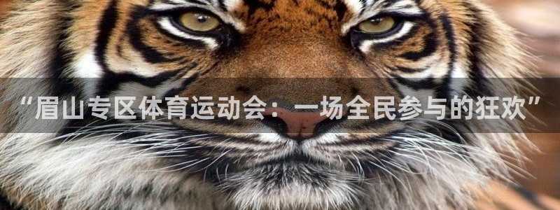 搜球体育CCT5：“眉山专区体育运动会：一场全民参与的狂欢”