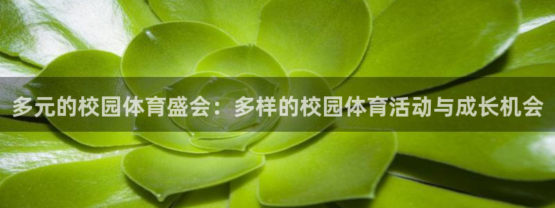 搜球体育app官方版下载