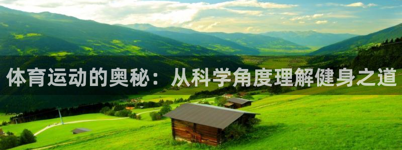 搜球体育官网网址