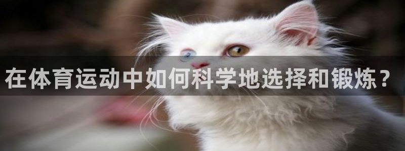 搜球体育在线观看