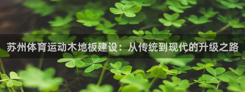 搜球体育