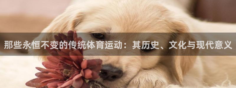 搜球体育官网